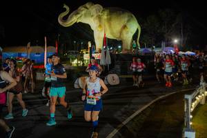 BIB: 
                            <button type="button" onclick="openModal(26552336)" class="btn btn-primary btn-sm float-right btn-popup" data-toggle="modal" data-target=".modal-high-quality">
                        <i class="fas fa-shopping-cart"></i> Add to Cart
                    </button>
                                            <button type="button" onclick="isThisMe(26552336, true)" class="btn btn-success btn-sm float-right btn-popup btn-isme hidden" data-toggle="tooltip" data-placement="bottom" title="นี่คือรูปของคุณใช่ไหม คลิกที่นี่เพื่อเอาเข้าอัลบั้ม">
                        <i class="fas fa-plus"></i> Add to album
                    </button>
                    <button type="button" onclick="isThisMe(26552336, false)" class="btn btn-warning btn-sm float-right btn-popup btn-isnotme hidden">
                        <i class="fas fa-ban"></i> Remove from album
                    </button>